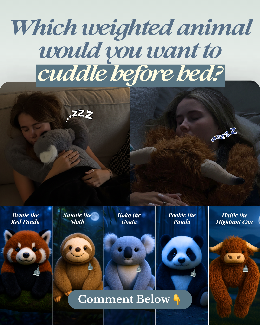 The Nervous System Reset Facebook ad