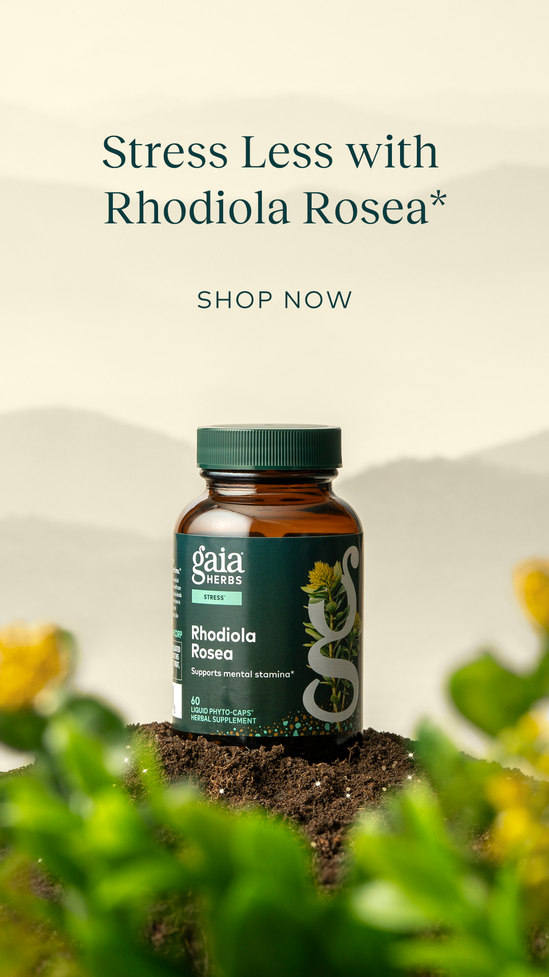 Gaia Herbs Facebook ad