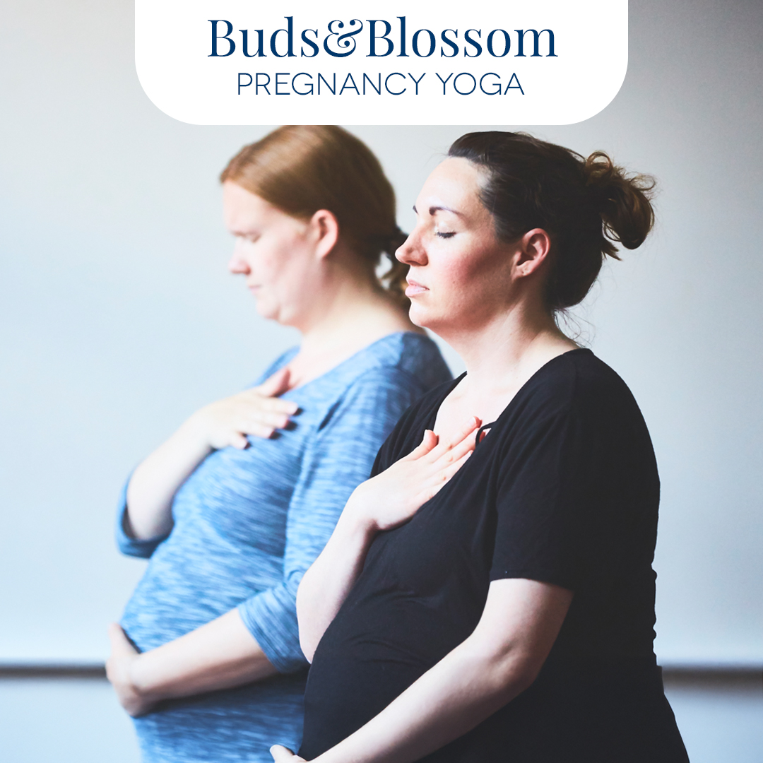 Buds & Blossom Yoga Facebook ad: Pregnancy Yoga in Penwortham