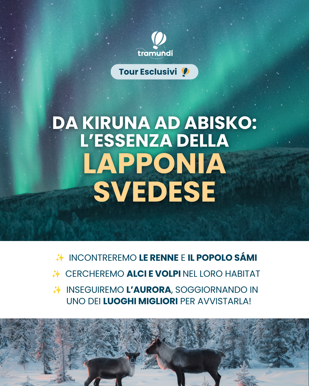 Tramundi Facebook ad