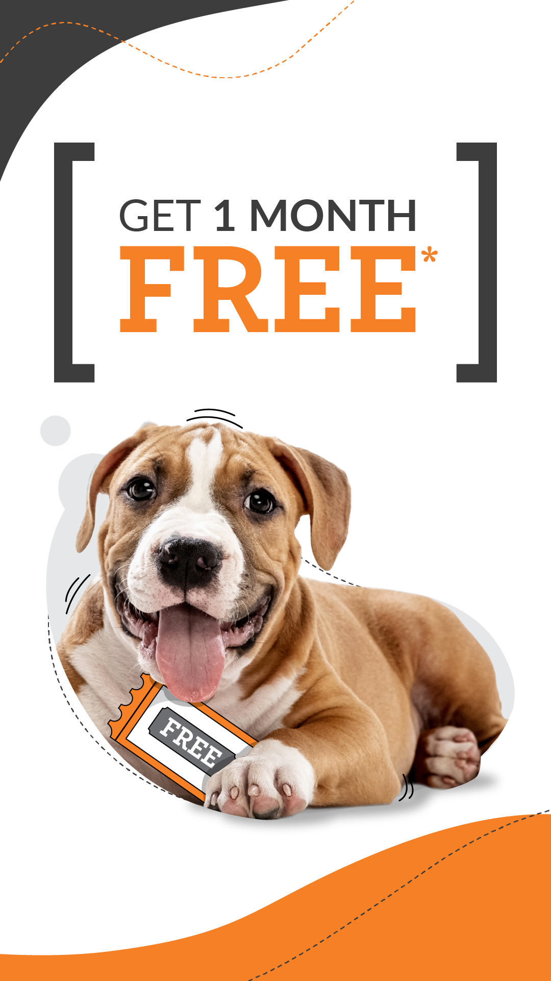 PD Insurance NZ Facebook ad