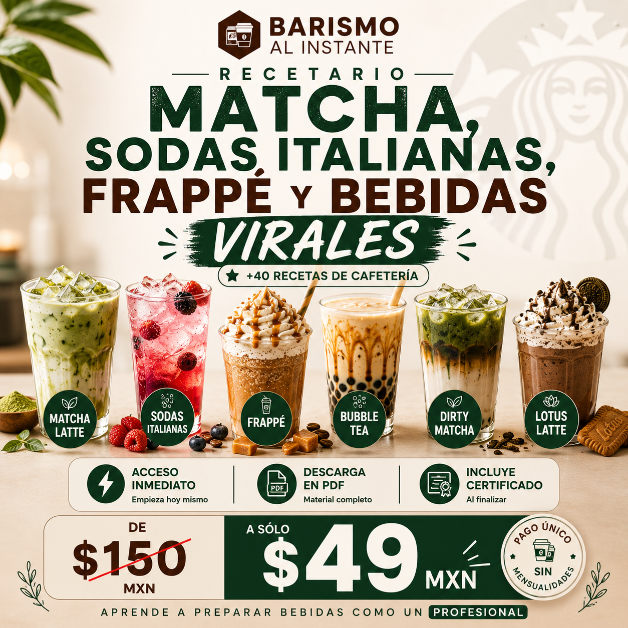 Barismo al Instante Facebook ad: Recetario desde $49 PESOS