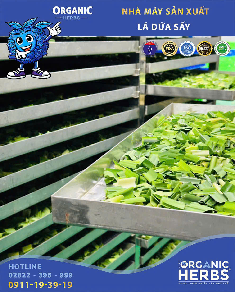 Organic Herbs - Nhà Máy Thực Phẩm Mỹ Phẩm Quốc Tế Facebook ad: DRIED PANDAN LEAVES (LÁ DỨA / LÁ NẾP)…