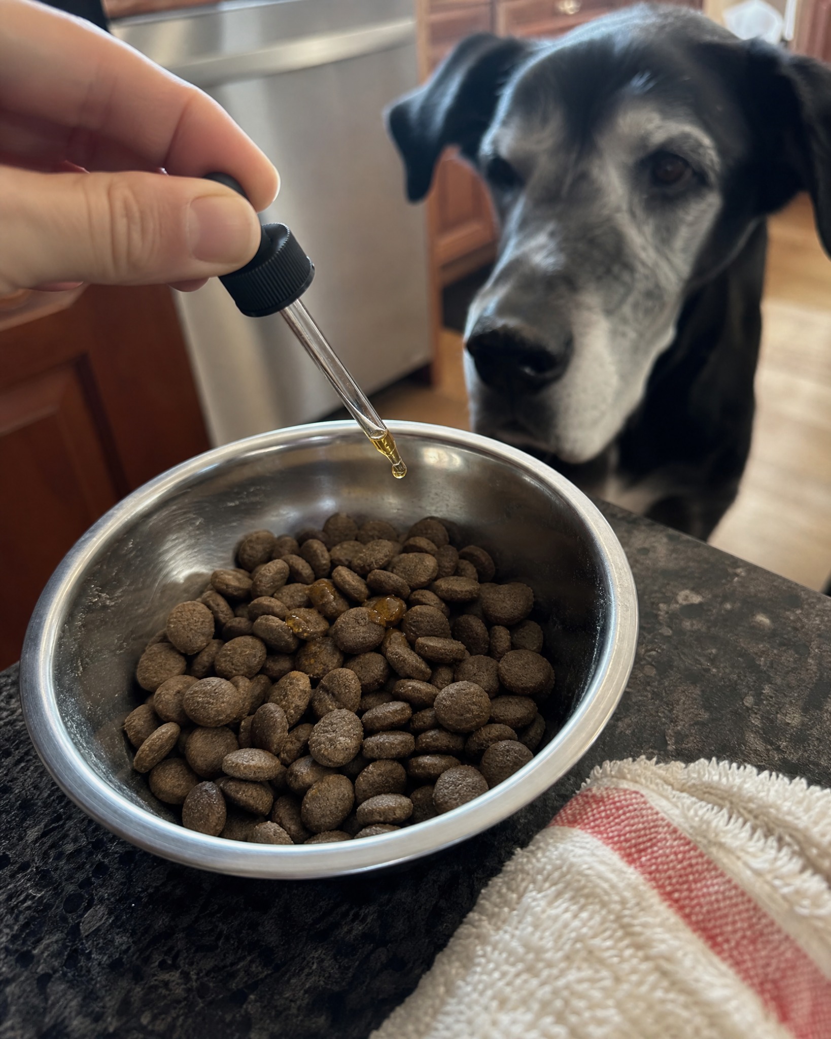 Dr Andrew Ridder Facebook ad: I’m a Vet. I Was Wrong About Glucosamine.