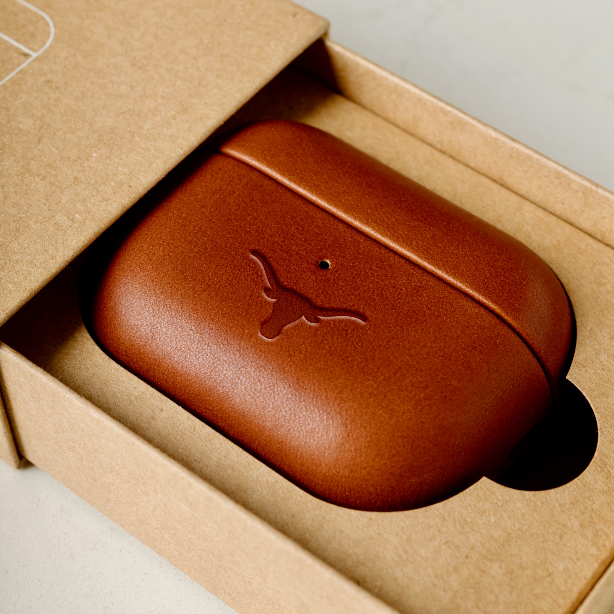 Bluebonnet Facebook ad: The Longhorn AirPods Case