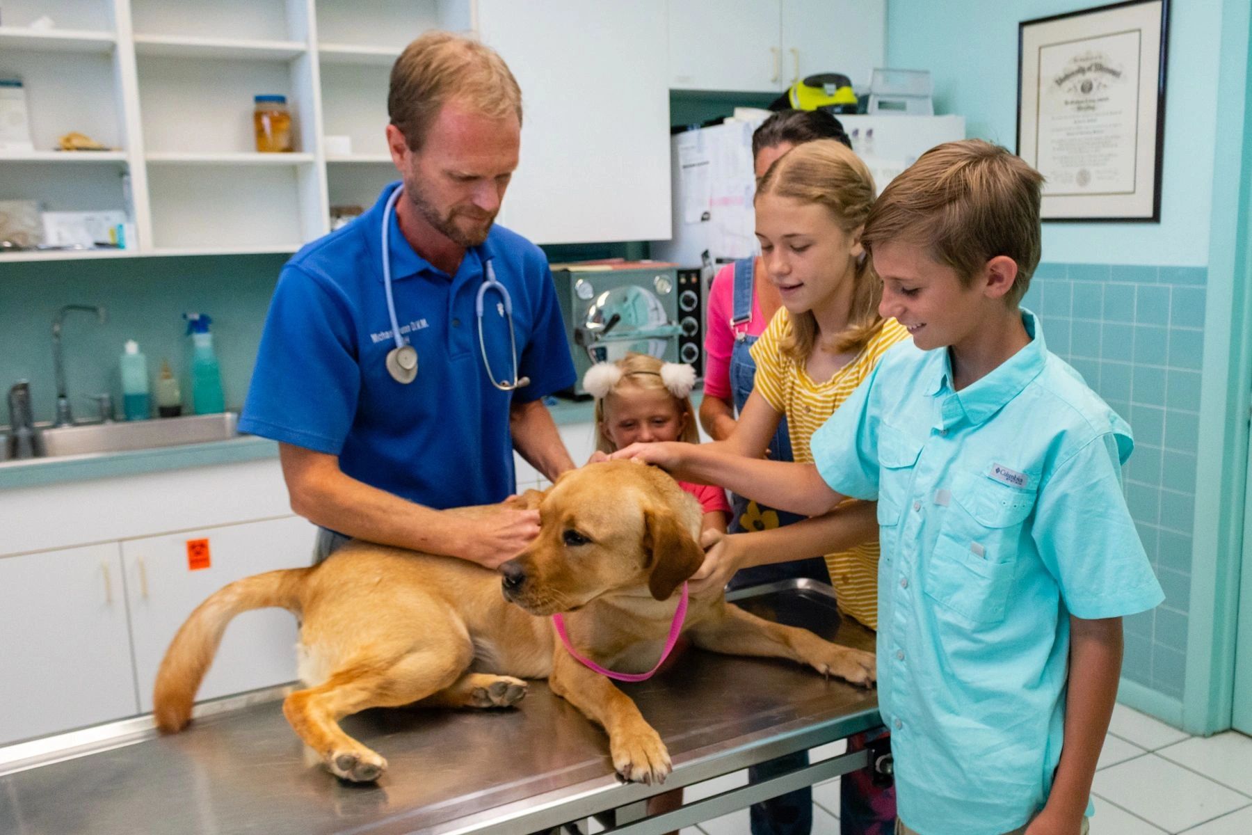 Keys Animal Hospital Facebook ad: Comprehensive Care for Your Pets