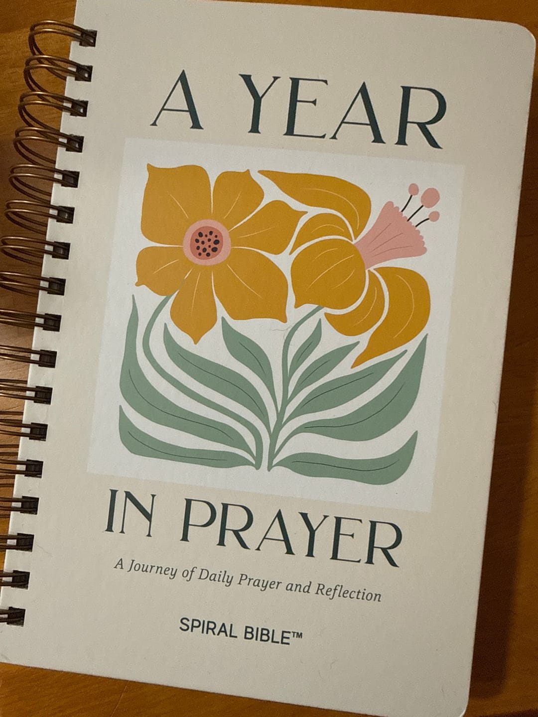 Spiral Bible Facebook ad