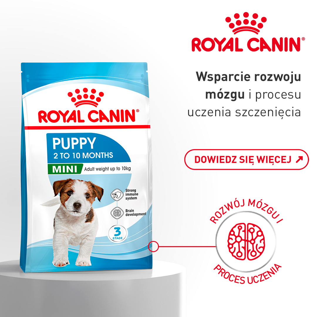 Royal Canin Facebook ad: ROYAL CANIN dla szczeniąt