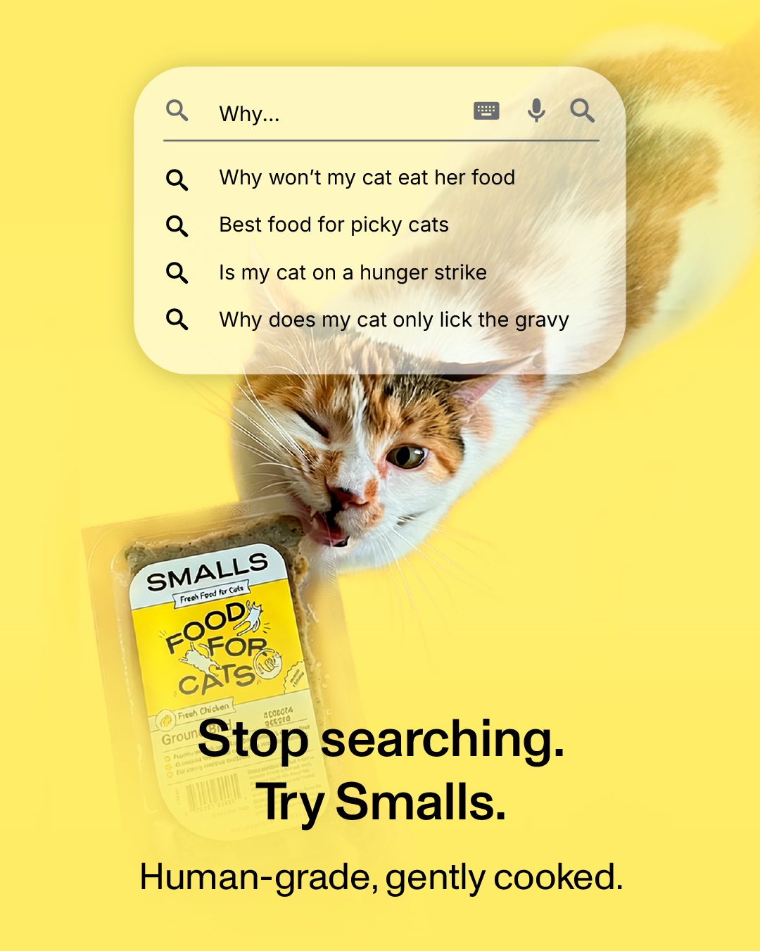 Smalls Facebook ad