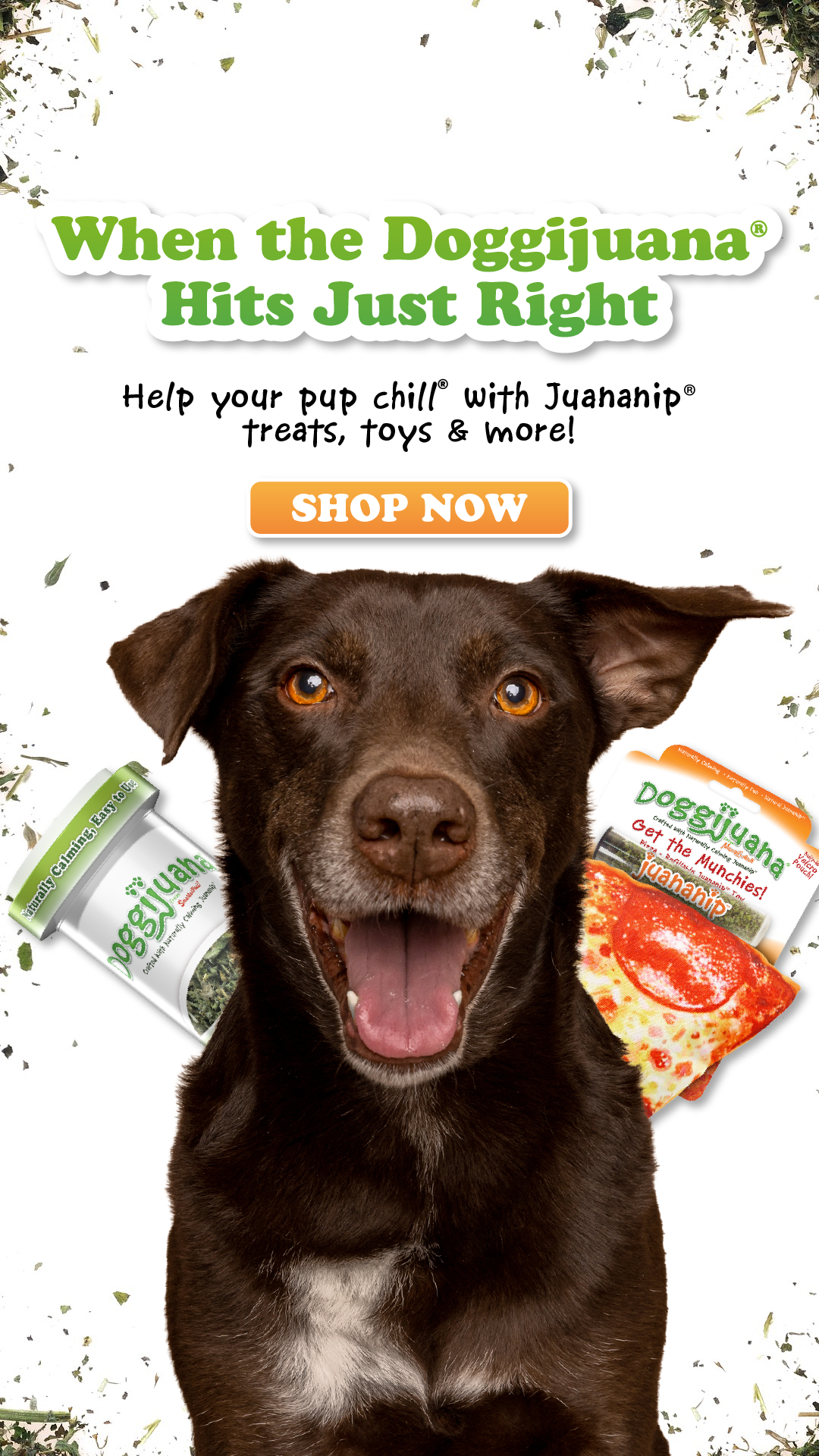 Doggijuana Facebook ad from Apr 24, 2026