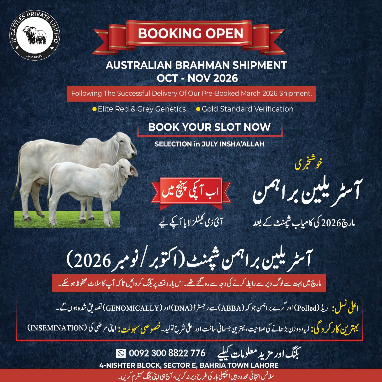 IZ Cattles Facebook ad: SECURE YOUR FUTURE HERD: AUSTRALIAN BRAHMAN SHIPMENT…