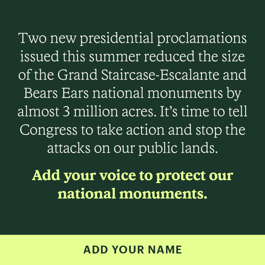 REI Facebook ad