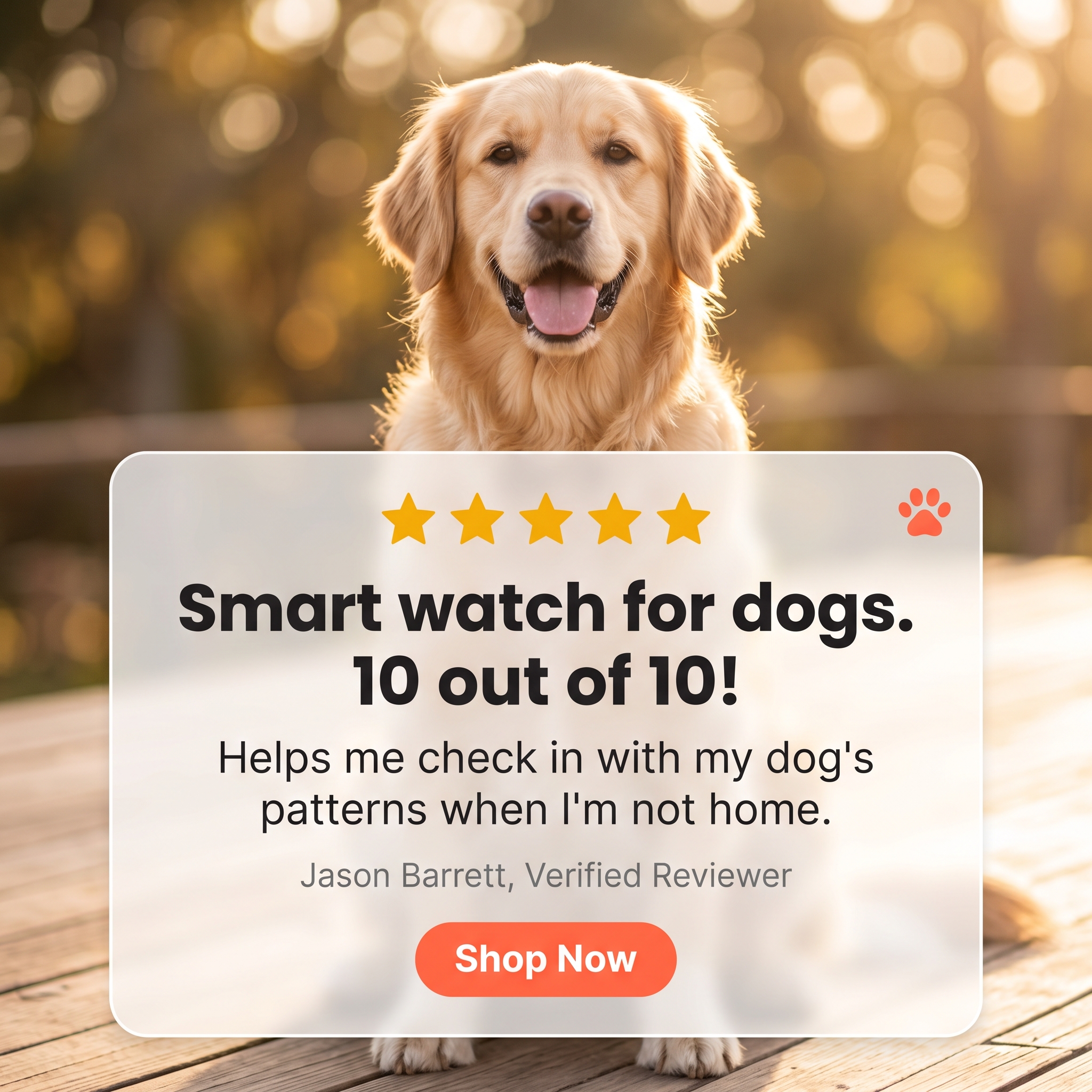 Maven Pet Facebook ad