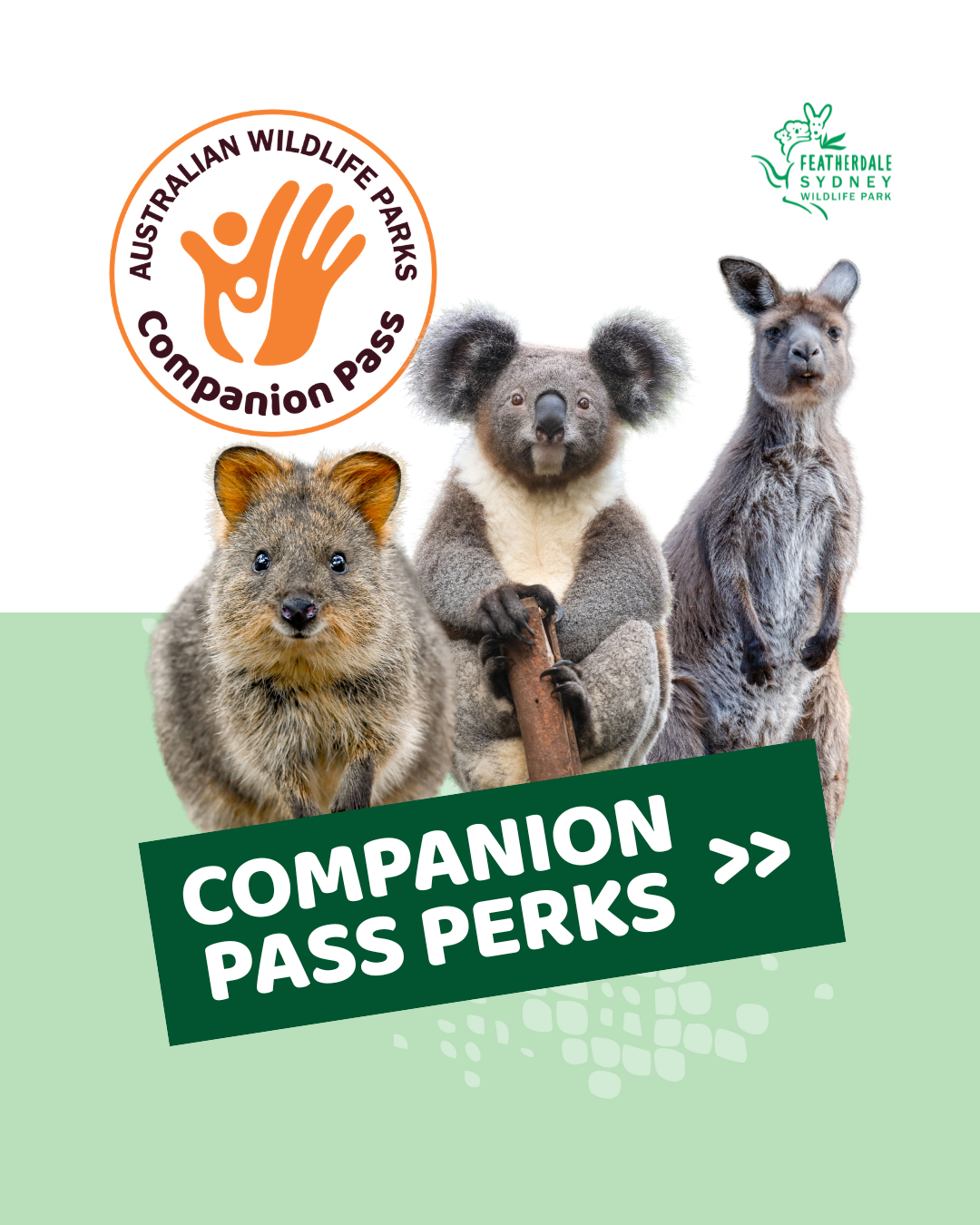 Featherdale Sydney Wildlife Park Facebook ad: Introducing the Australian Wildlife Parks Companion Pass, a…