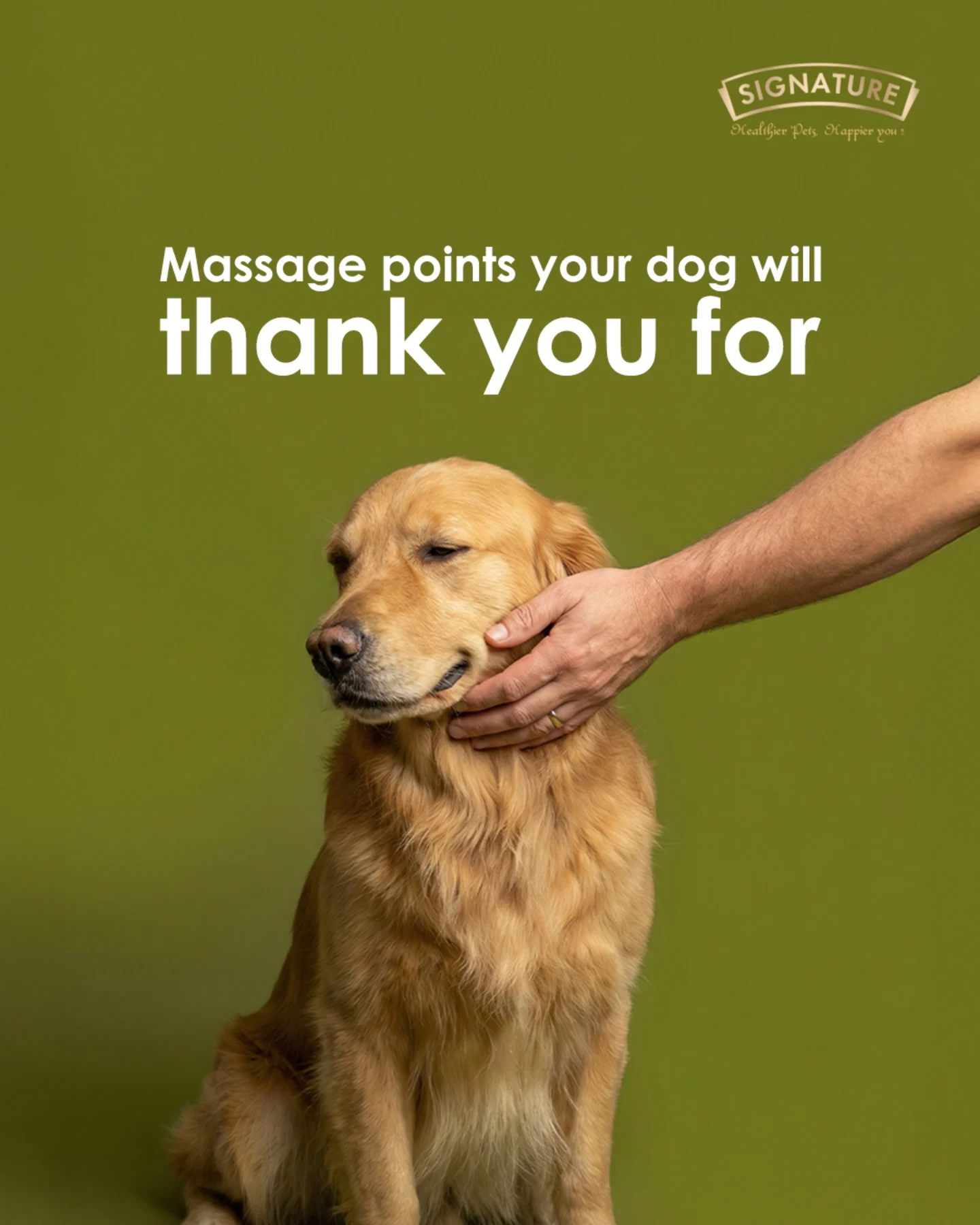 Signature Pet Foods Facebook ad: Daily moments of gentle touch do more than…