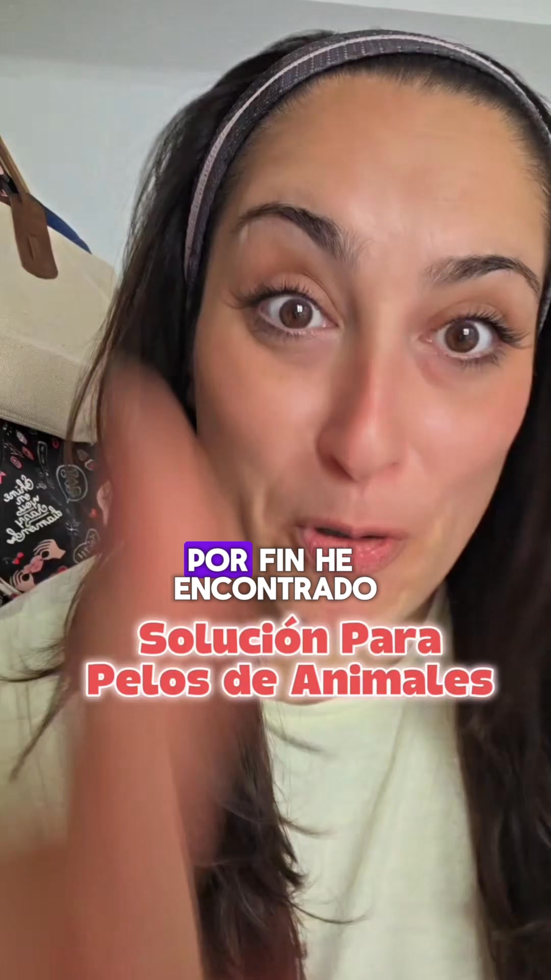 Softpet Facebook ad: Gánale la batalla al pelo de tu mascota.