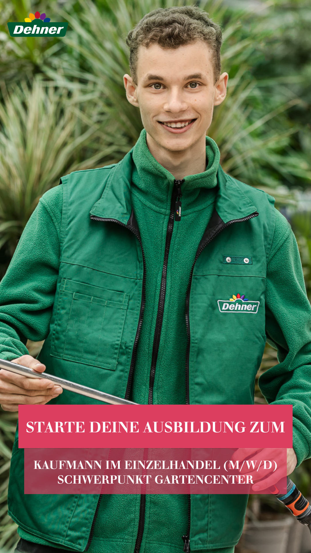 Dehner Karriere Facebook ad