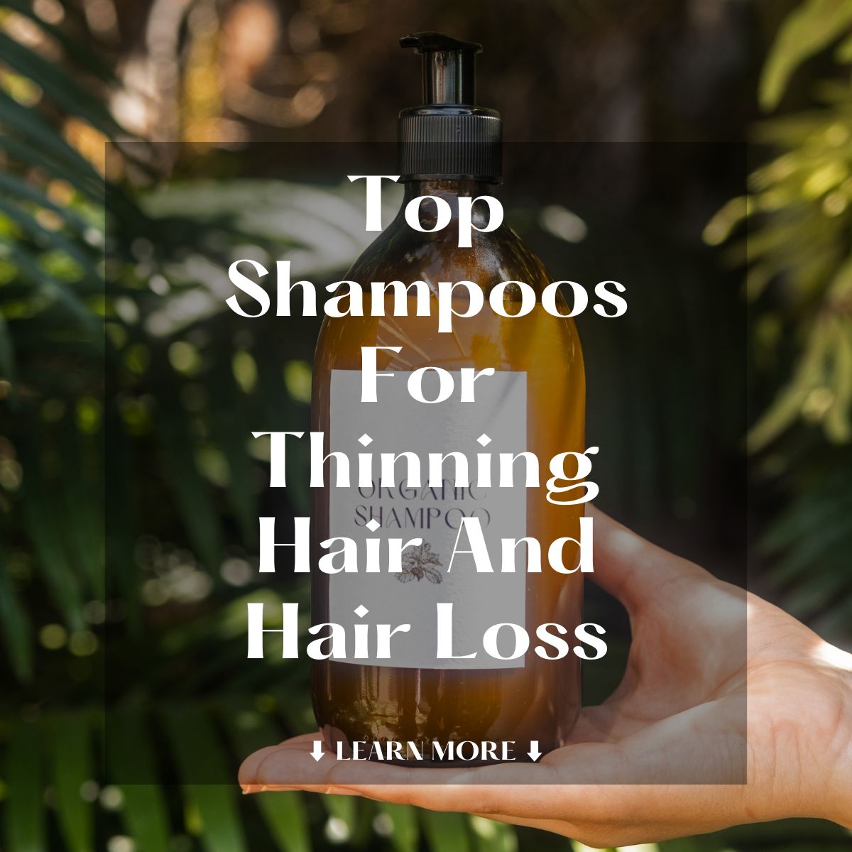 TrendingResults Buzz Facebook ad: Hair Growth Shampoo For Thinning Hair.