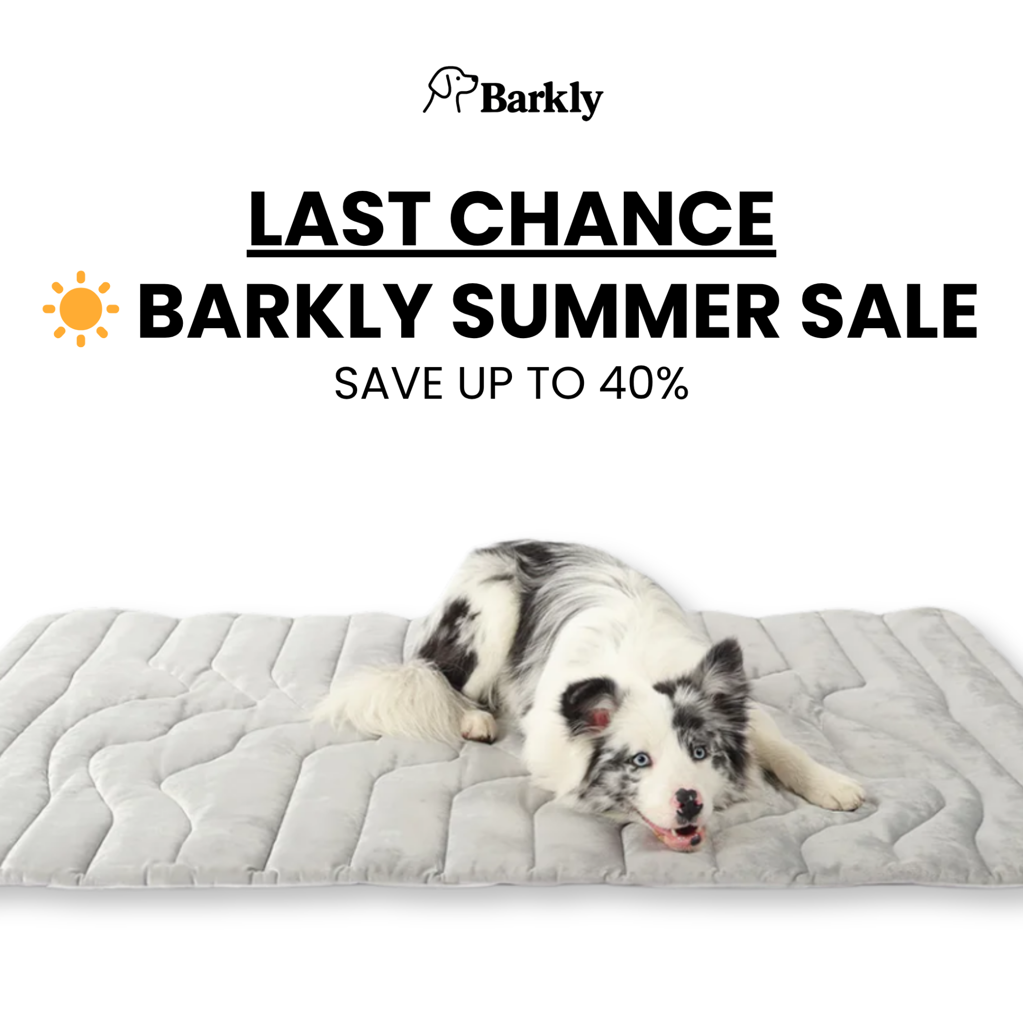 Barkly Facebook ad
