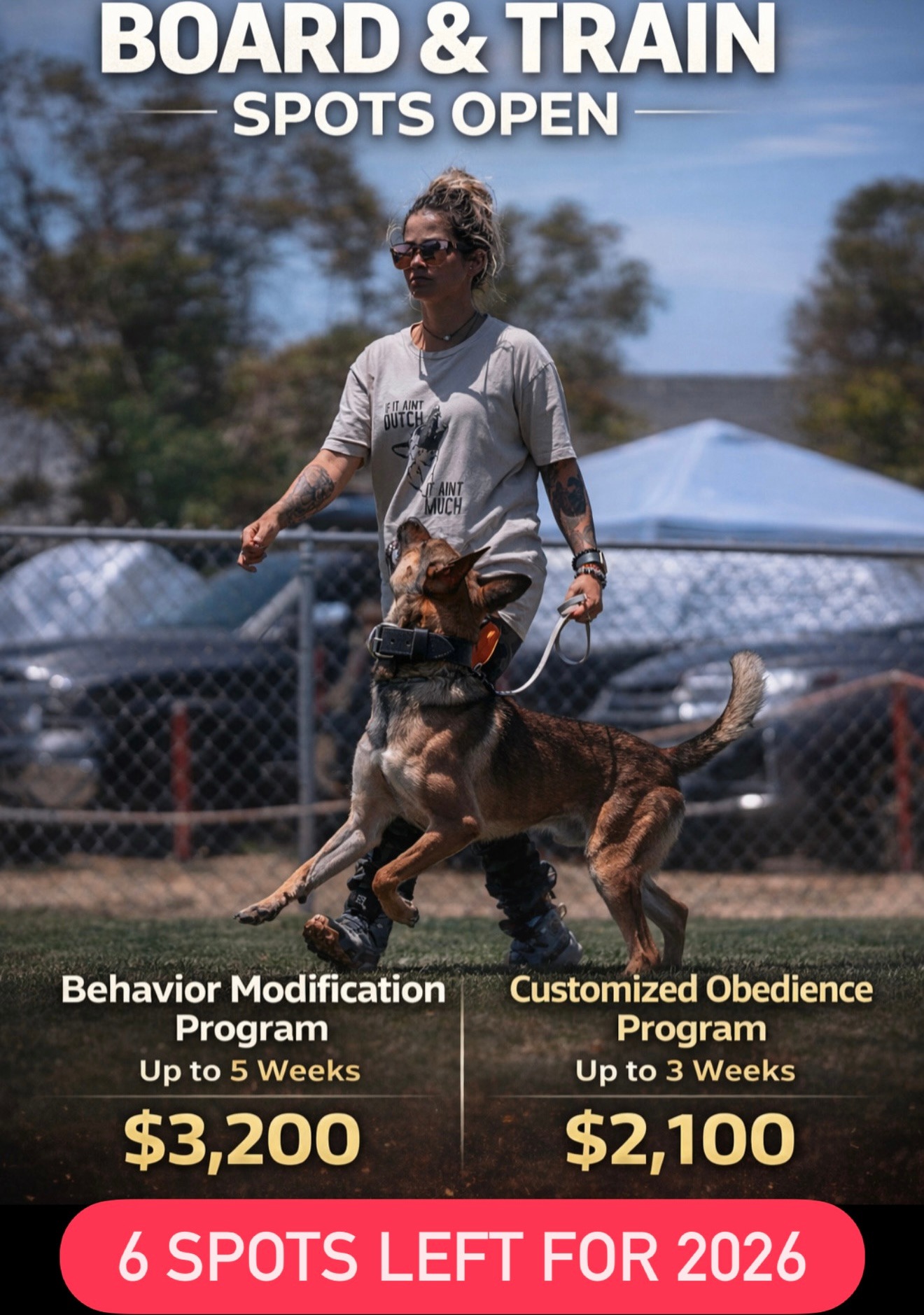 Top Paw K9 Academy Facebook ad: Leash pulling.