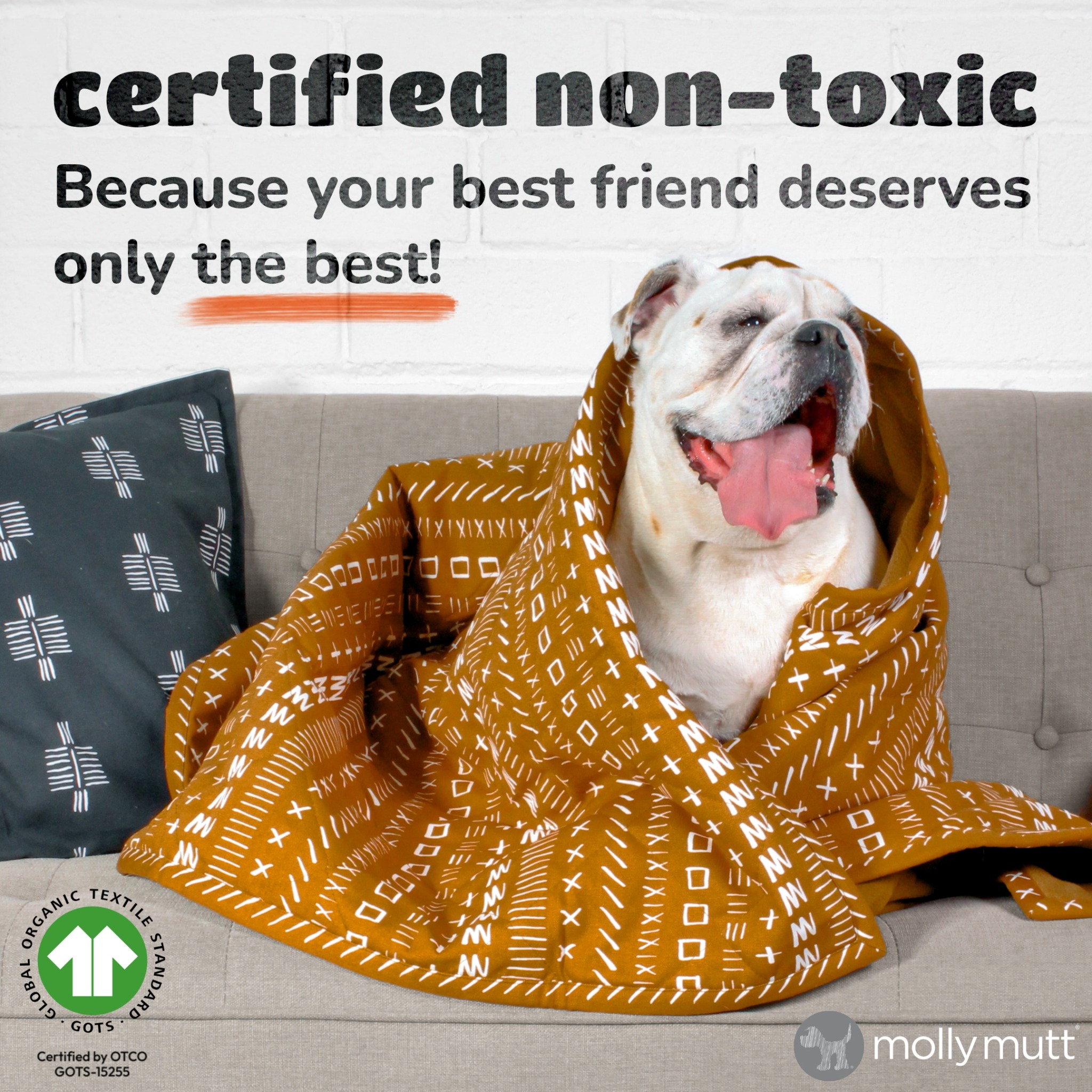 Molly Mutt Facebook ad