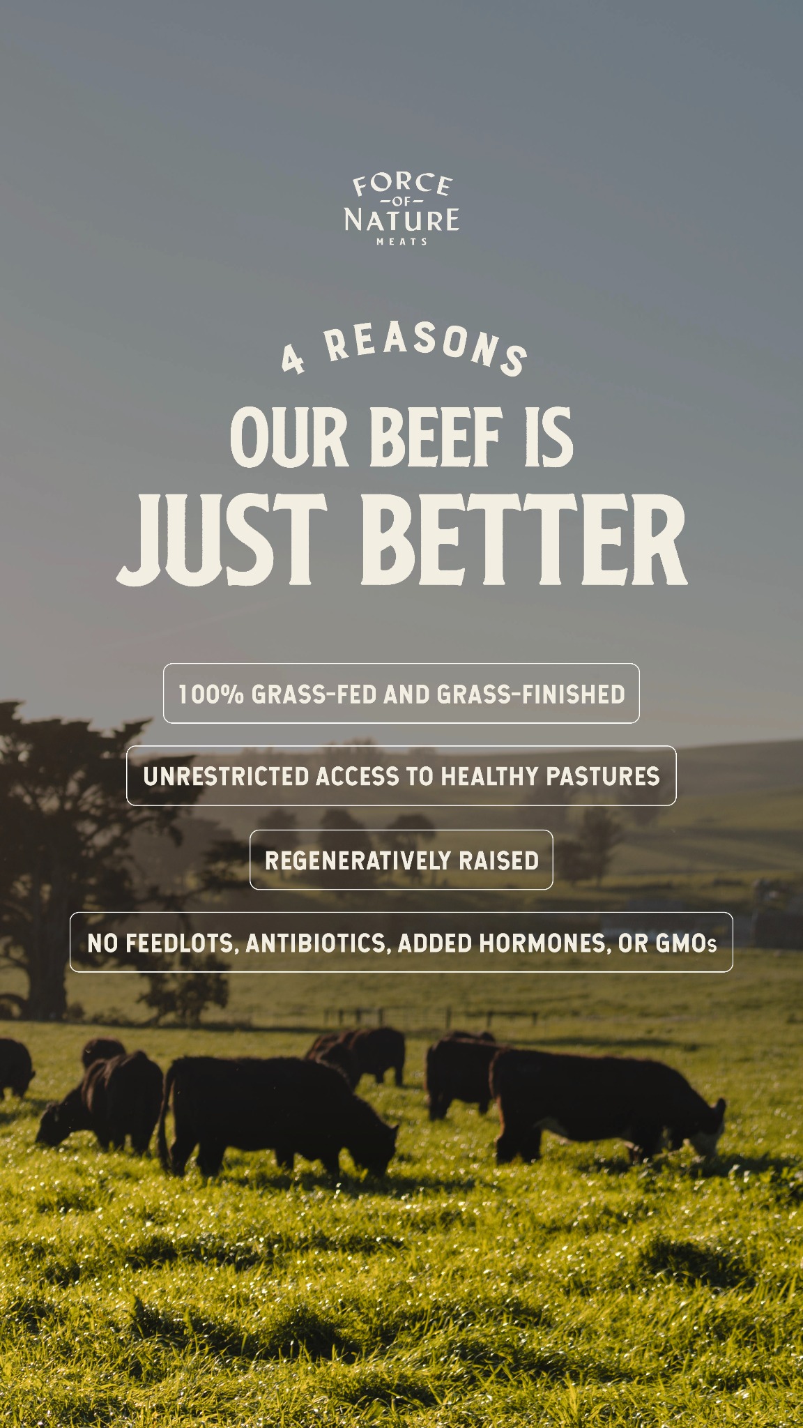 Force Of Nature Meats Facebook ad