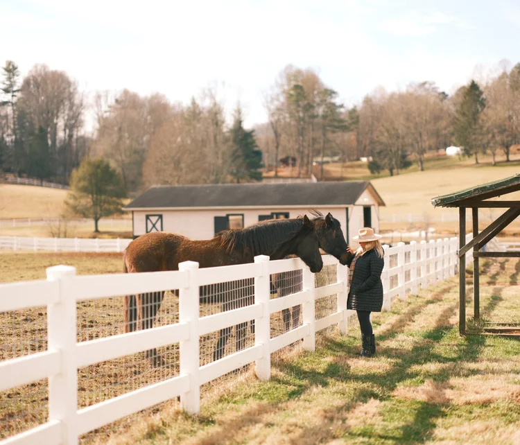 The Horse Shoe Farm Facebook ad