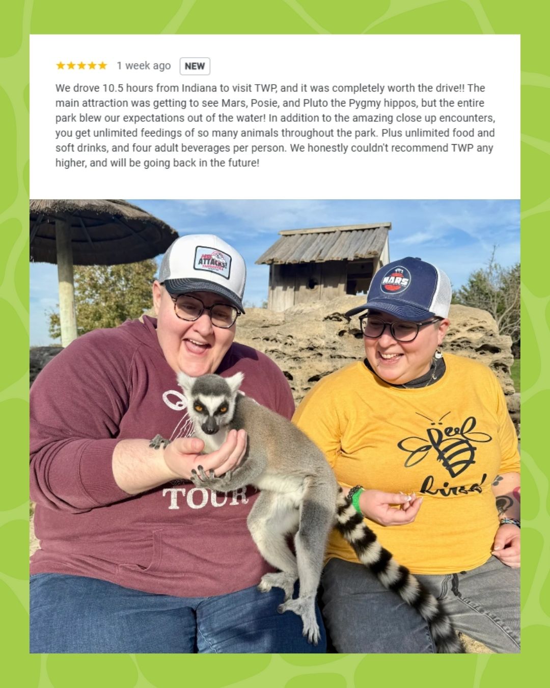 Tanganyika Wildlife Park Facebook ad