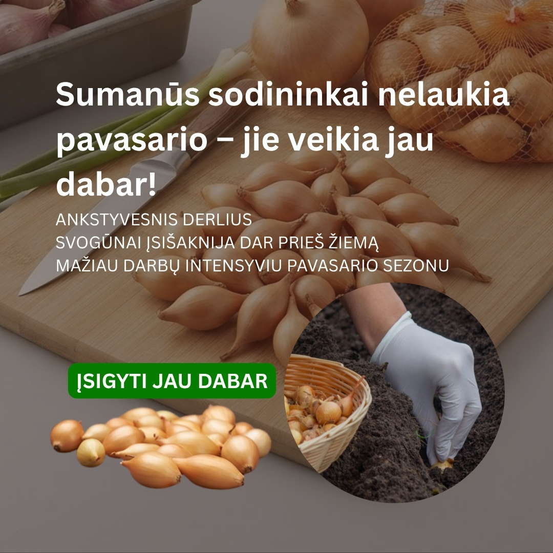 Nojaus sėklos Facebook ad