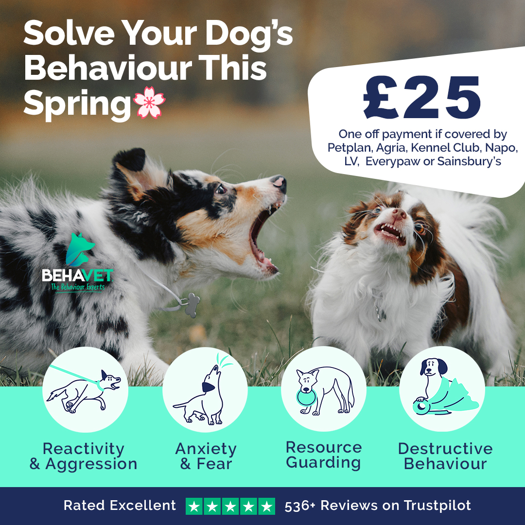 Behavet: The Pet Behaviour Experts Facebook ad
