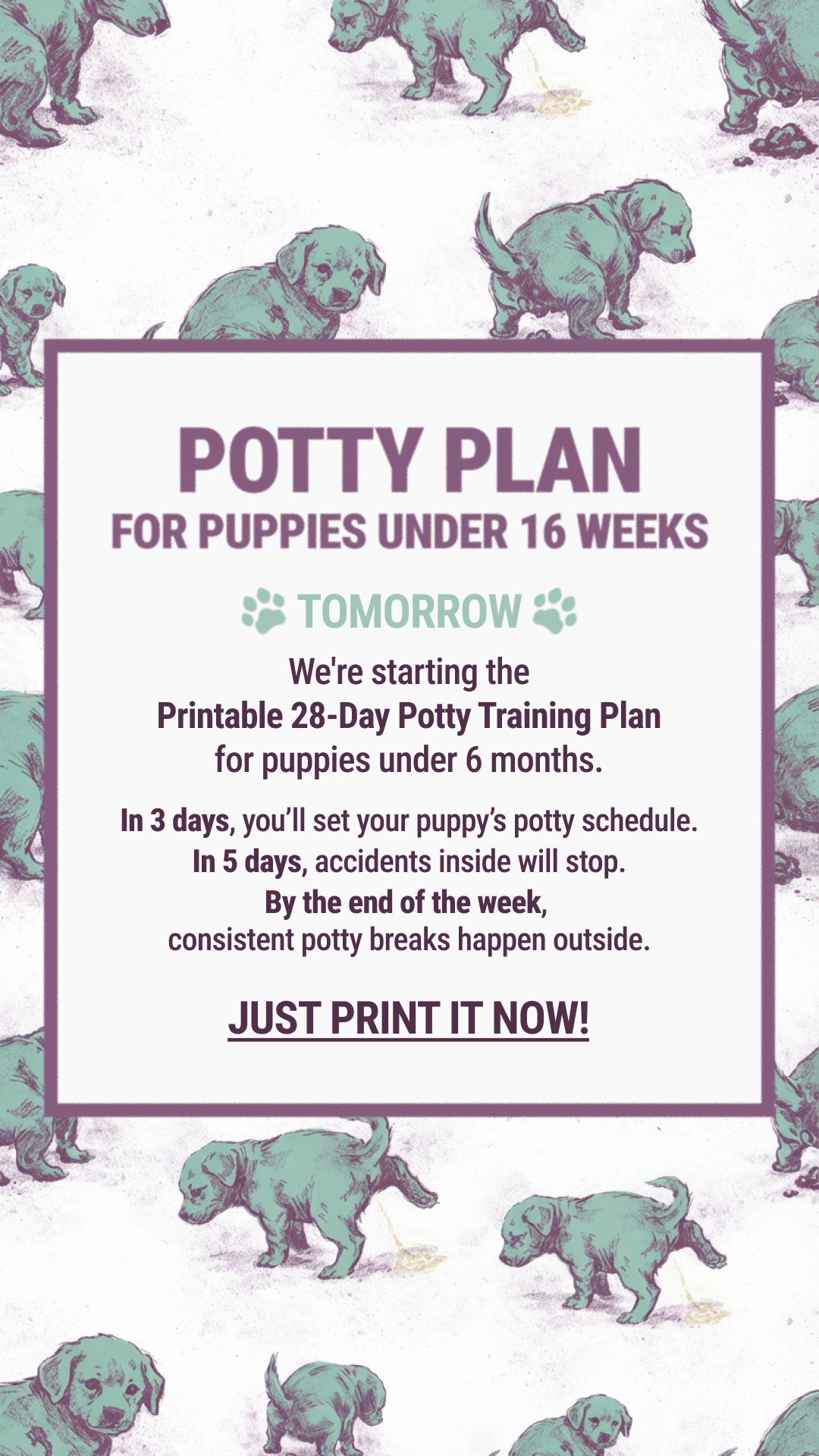 Woofz - Puppy Training Facebook ad