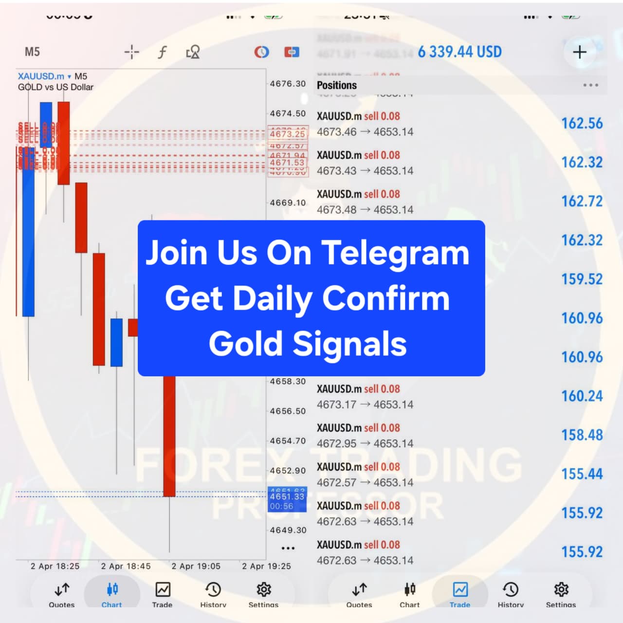 Forex Trading Professor  Facebook ad