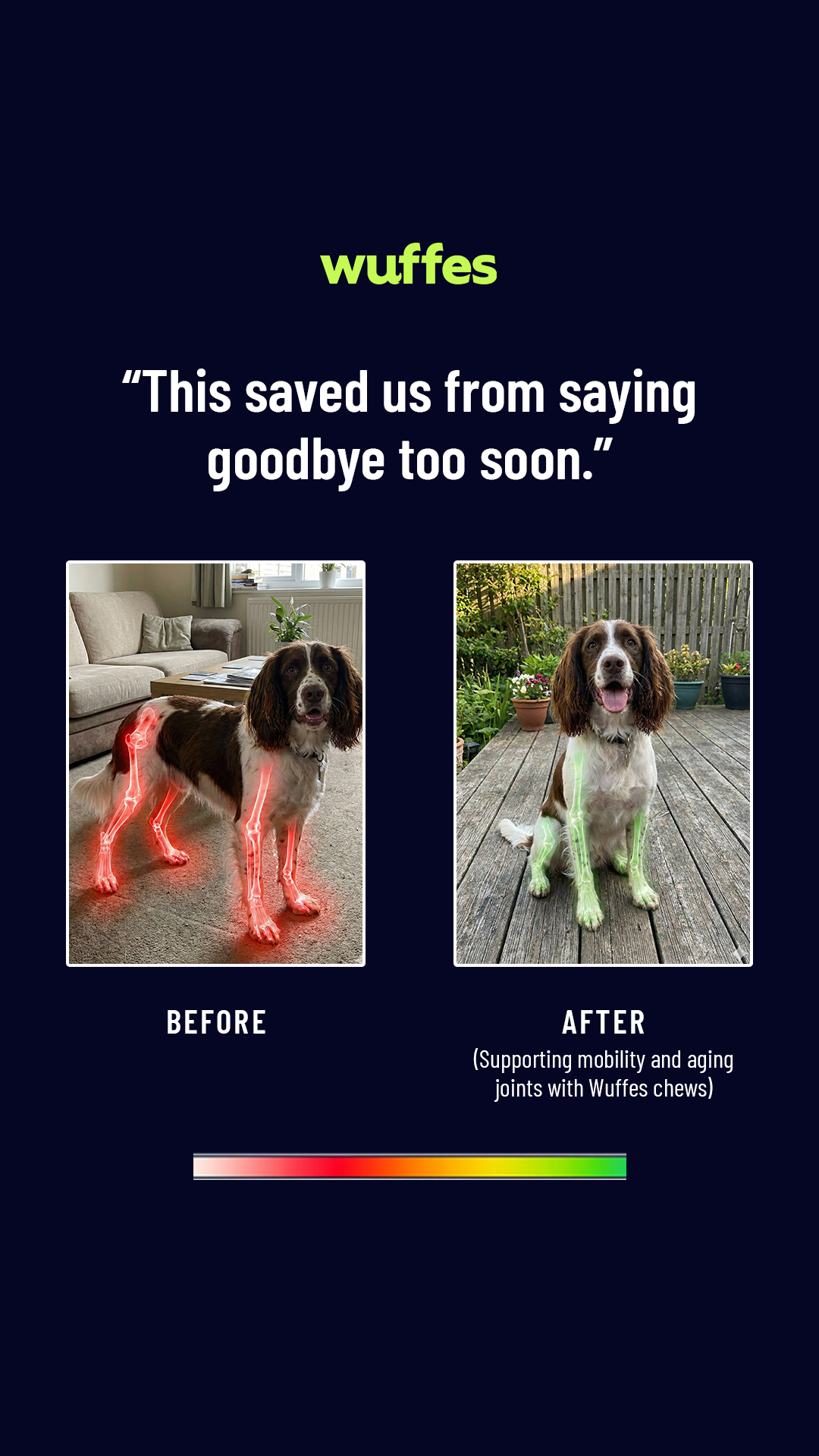 Everyday Pet Health Facebook ad
