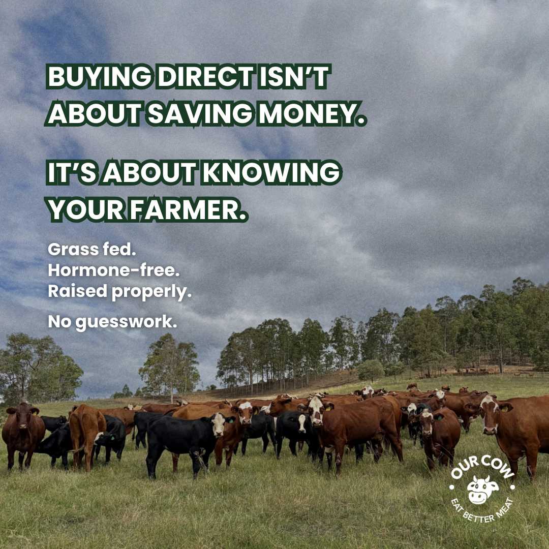 Our Cow Facebook ad