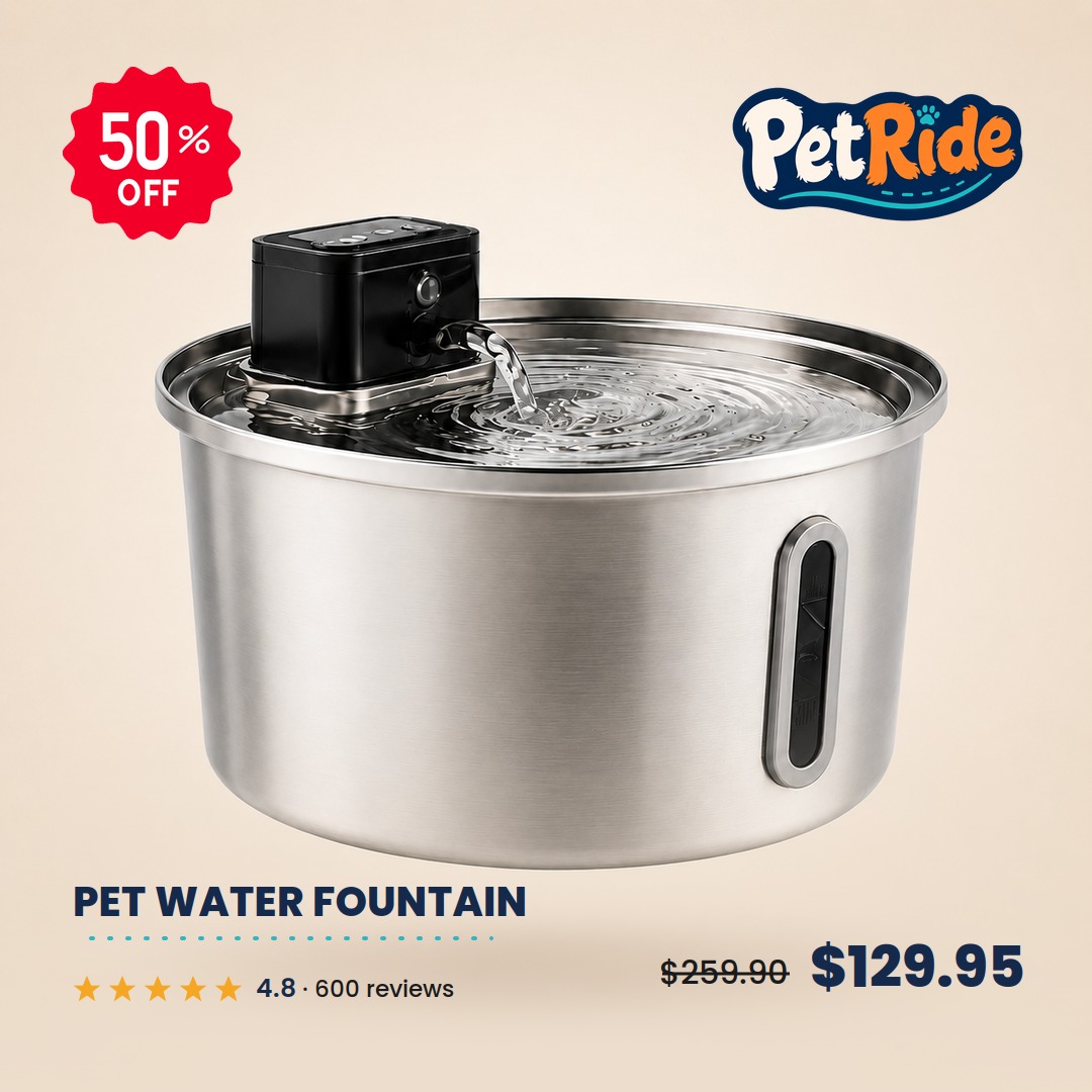 Pet Ride Facebook ad