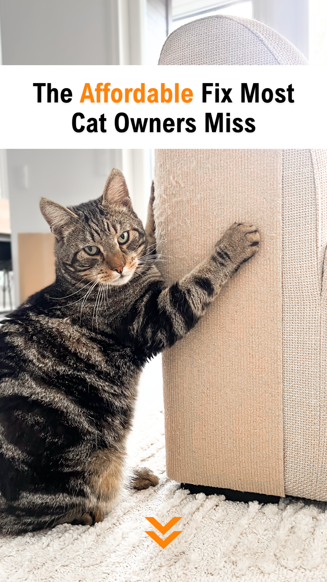 Leo's Paw Facebook ad