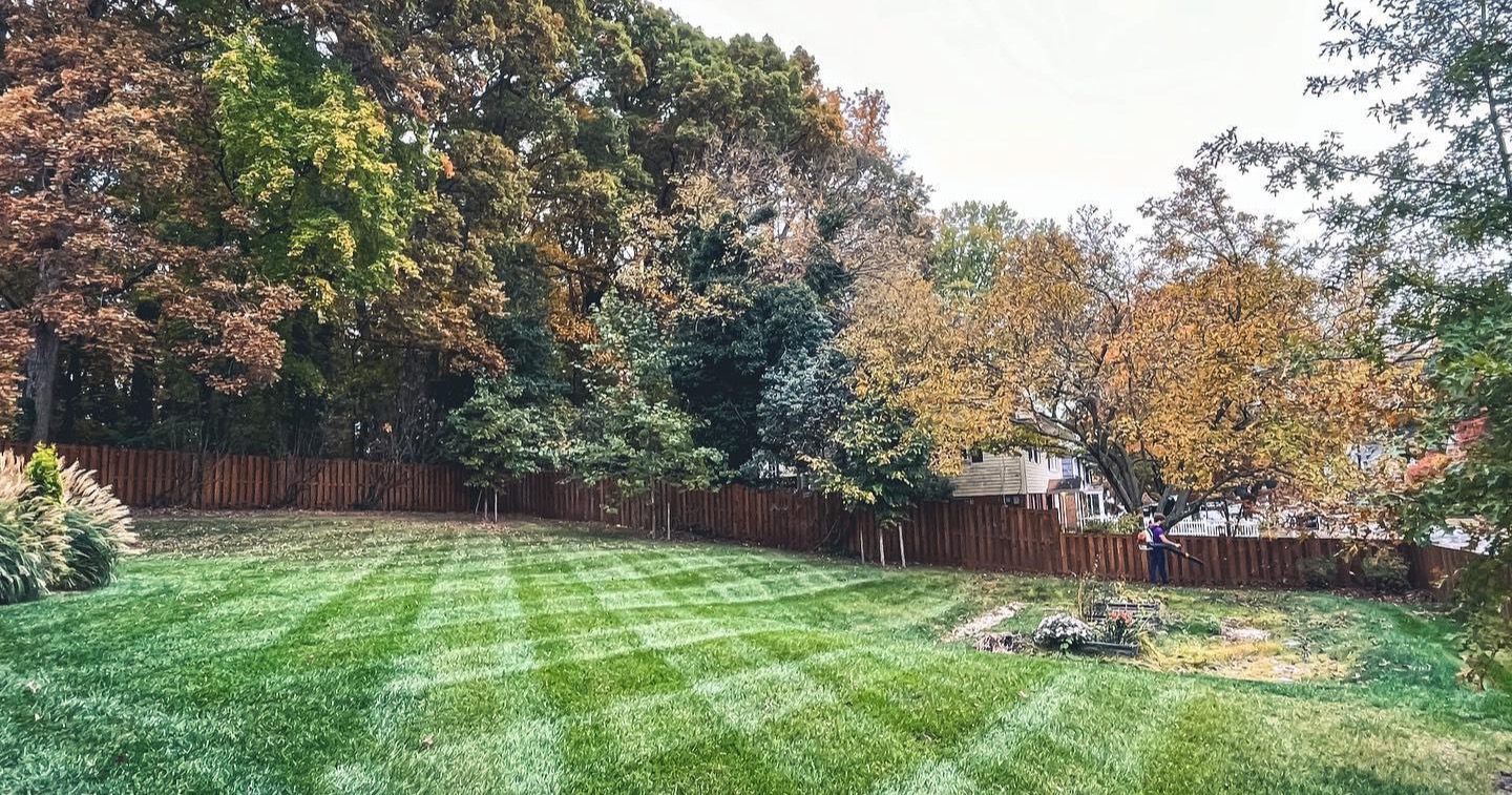 Avalon Landscape Construction Facebook ad: Aeration & Overseeding