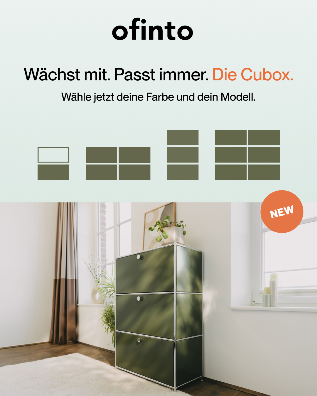 ofinto Facebook ad