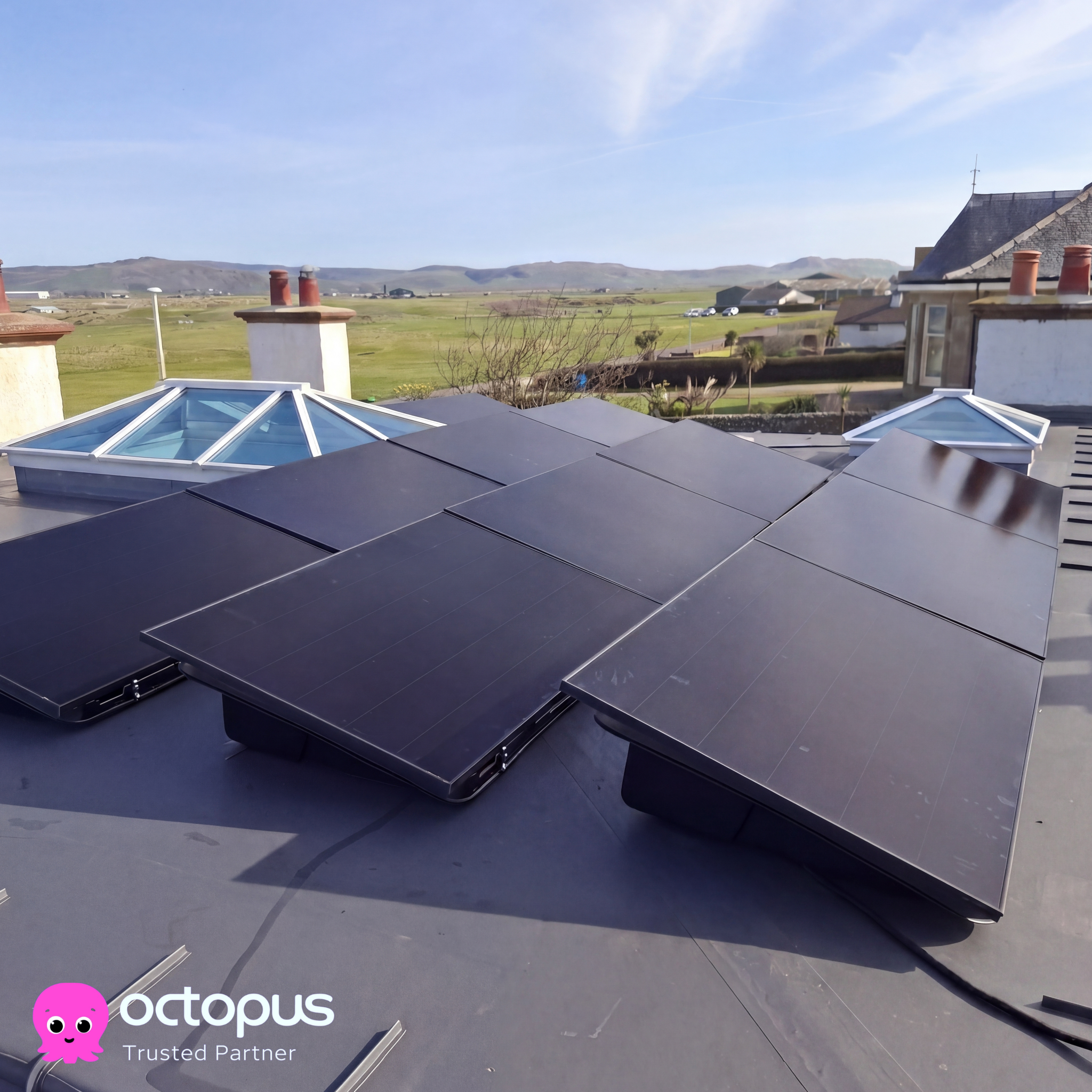 Viking Electrical Contractors Ltd Facebook ad: Octopus Trusted Partner for solar & battery storage