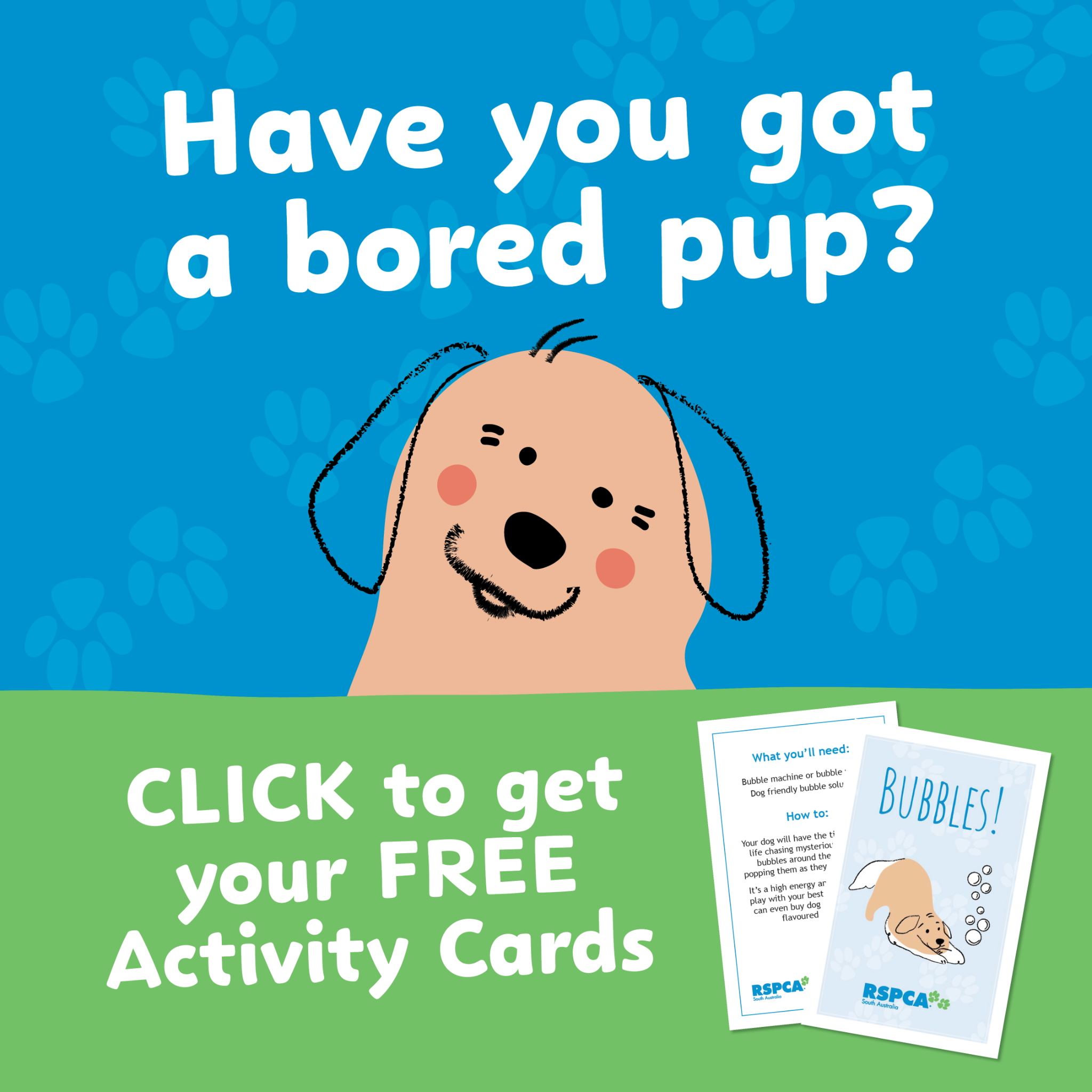 RSPCA South Australia Facebook ad