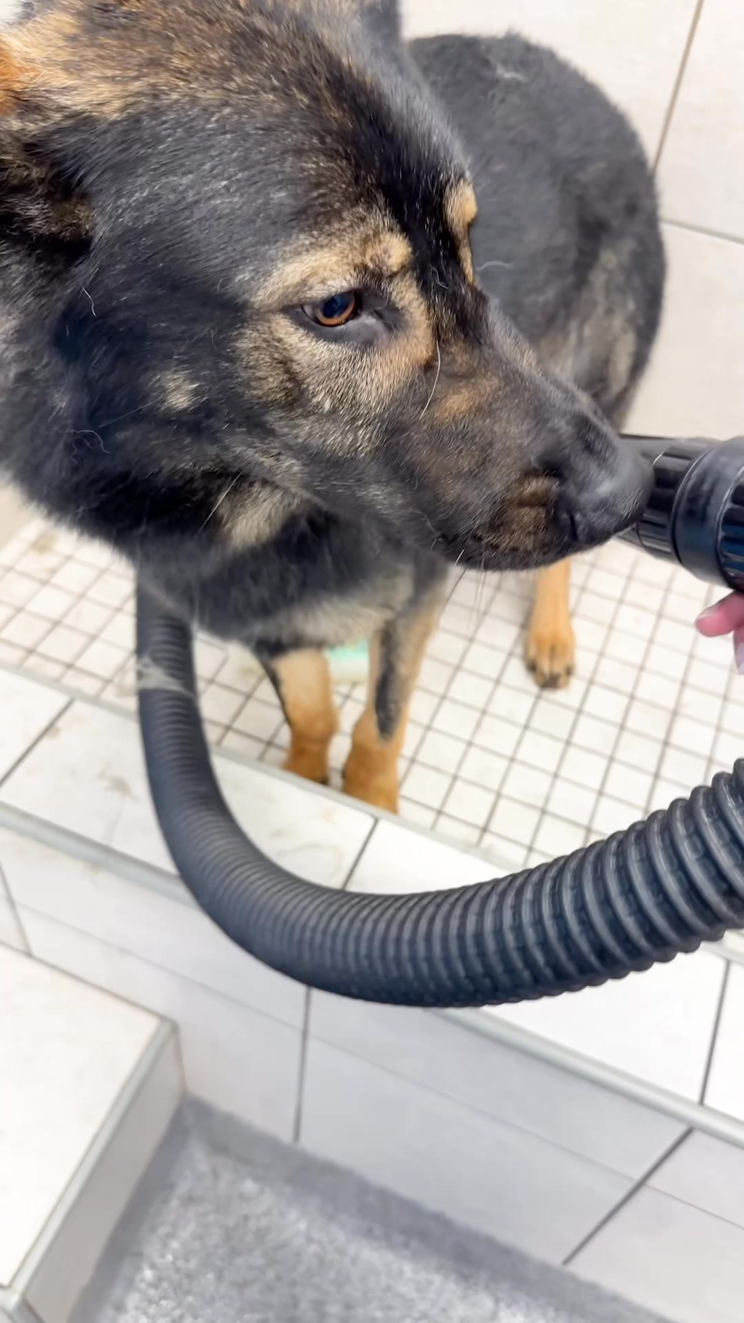 Uproot Clean Facebook ad: $150 per grooming visit.