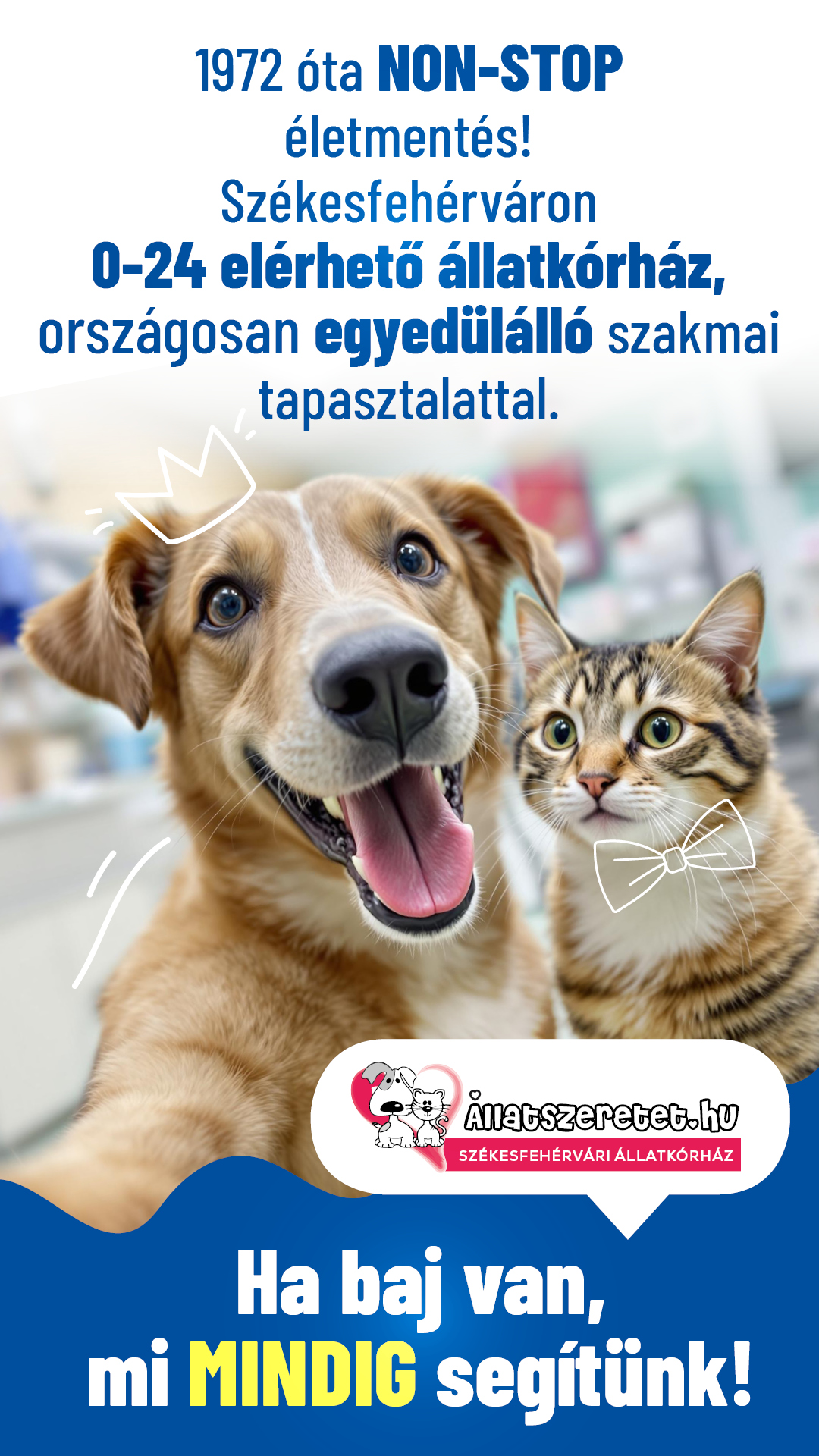 Alpha-Vet Állatkórház Facebook ad from Jun 19, 2025
