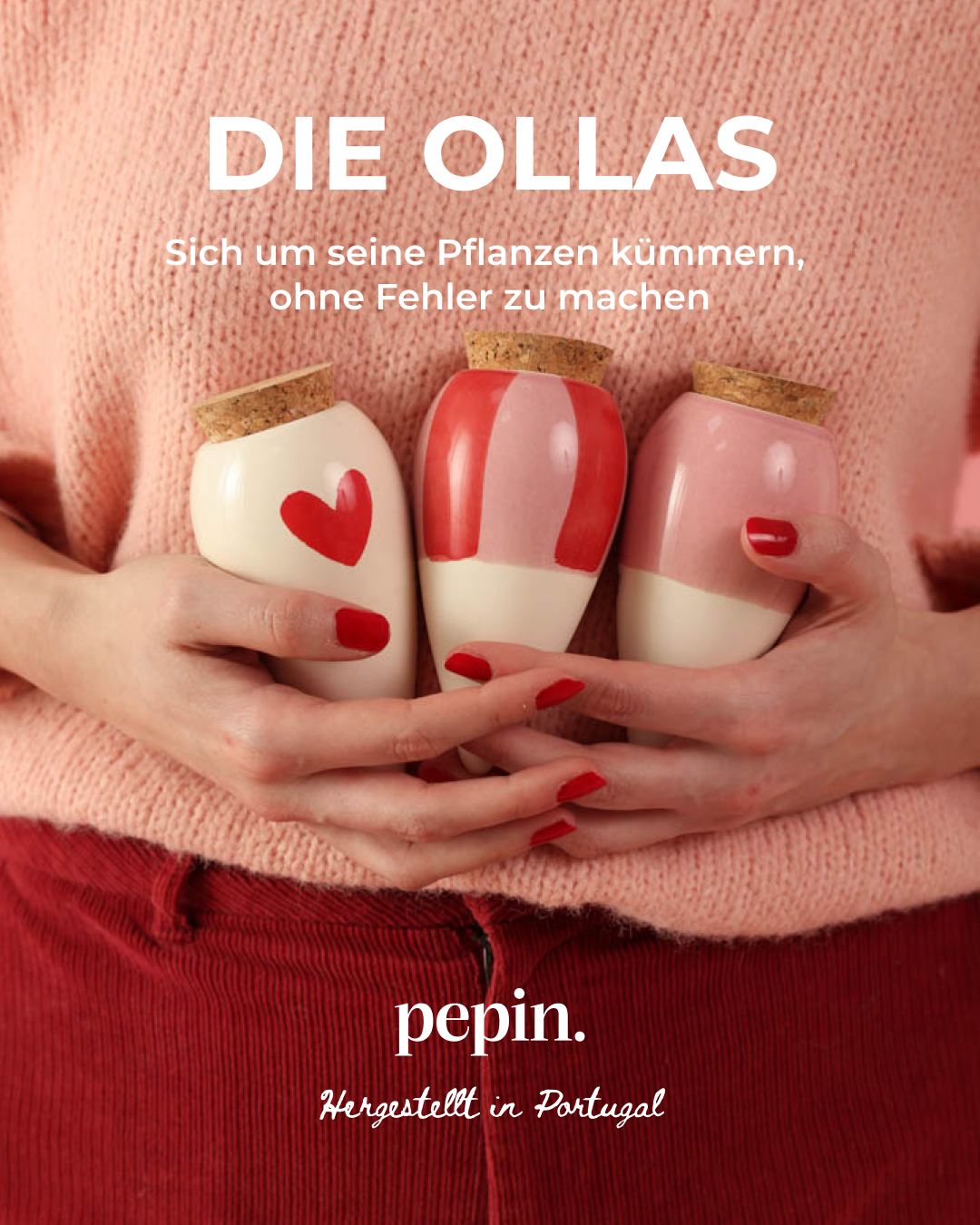 Pepin Facebook ad