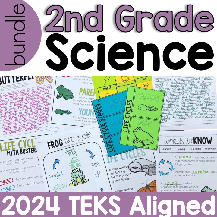 Kristen Sullins Teaching Facebook ad: Make Science Come Alive for Your 2nd Graders!