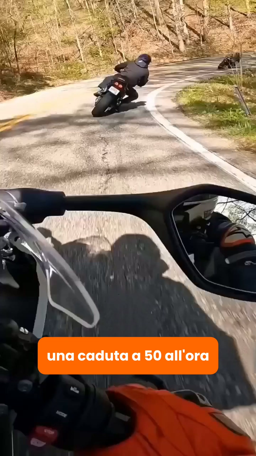 Didélia Facebook ad: Due secondi sull'asfalto.