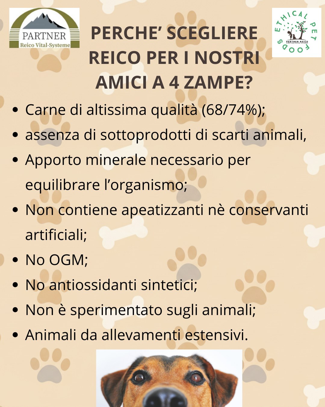 coda_consapevole Facebook ad: Reico è un'azienda a conduzione famigliare tedesca dove…