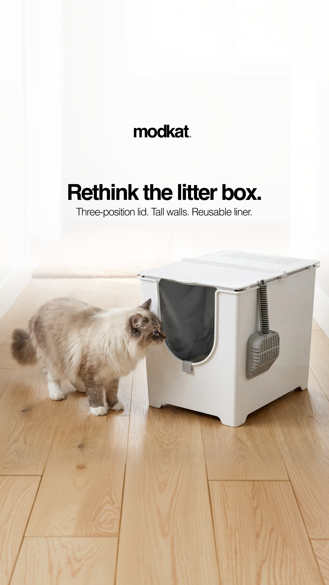 Modkat Facebook ad
