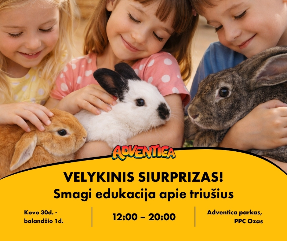Adventica Facebook ad