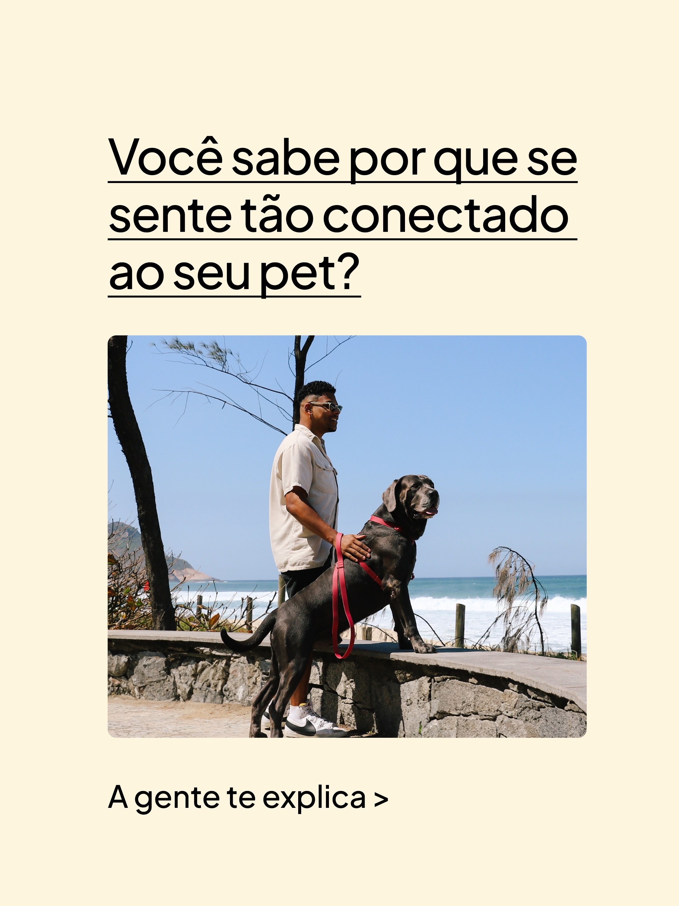 Petz Facebook ad