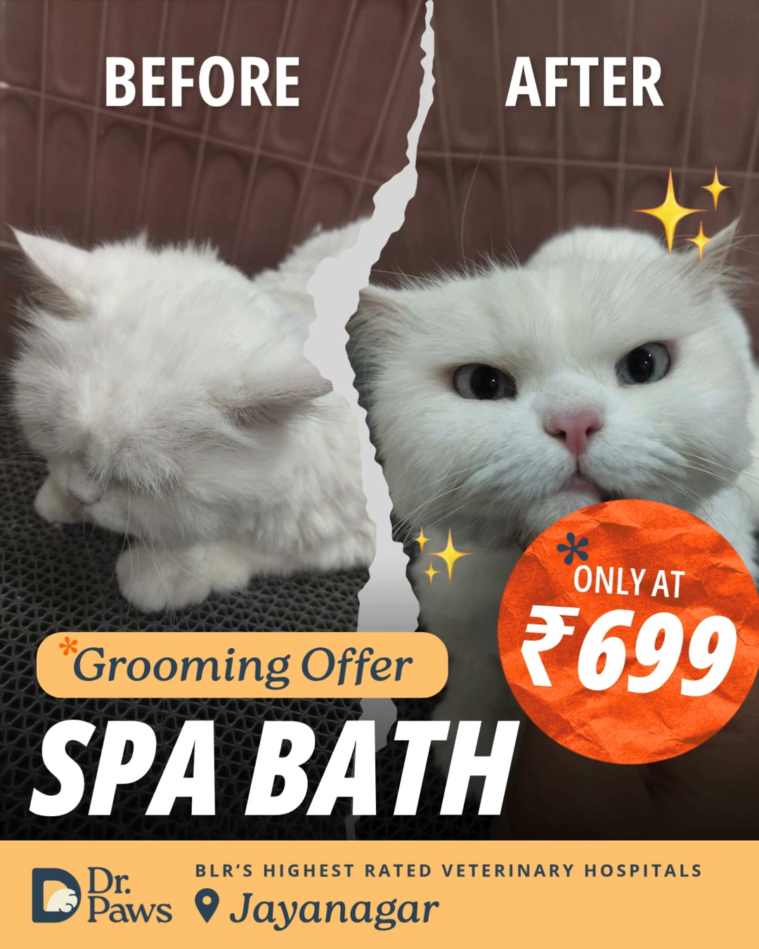 Dr Paws Facebook ad: Complete Pet Grooming at ₹499
